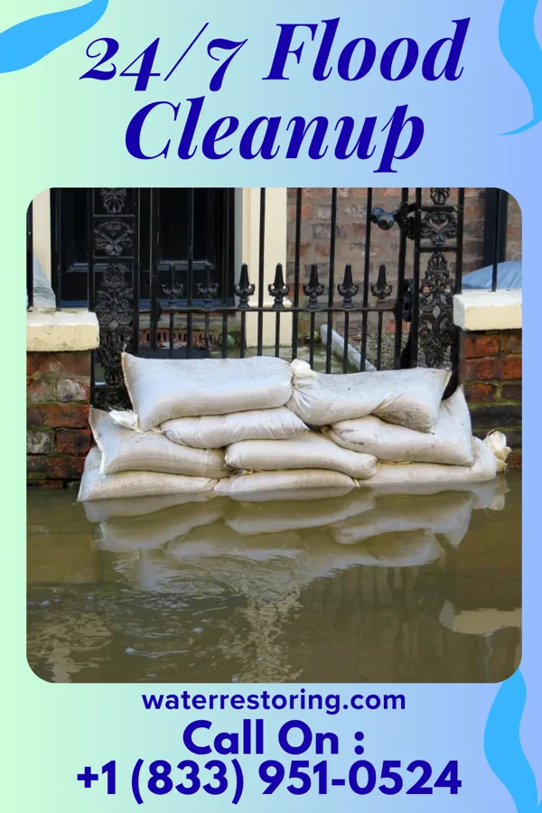 24/7 Flood Cleanup in Jarratt, VA