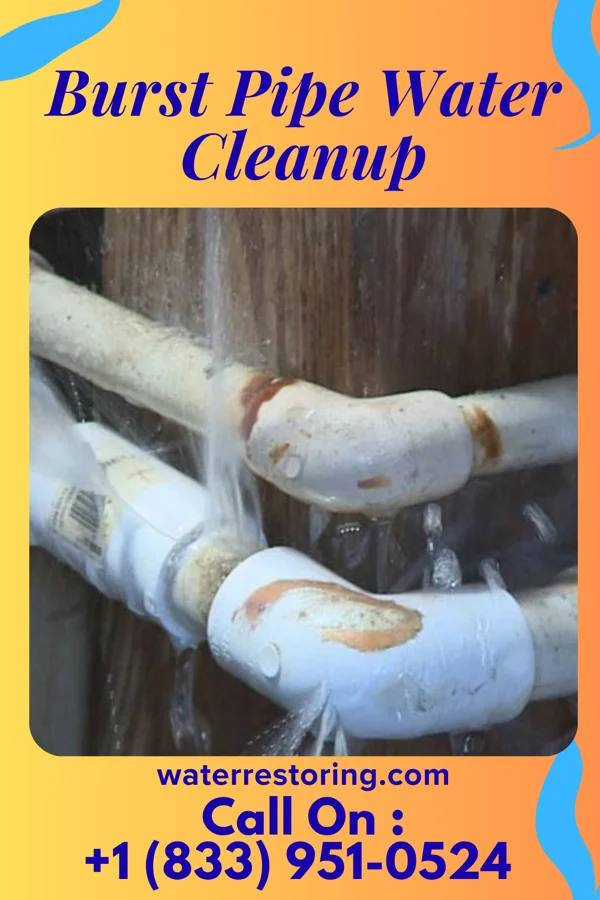Burst Pipe Water Cleanup in Jarratt, VA