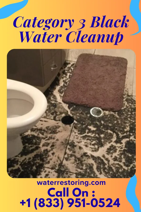 Category 3 Black Water Cleanup in Jarratt, VA