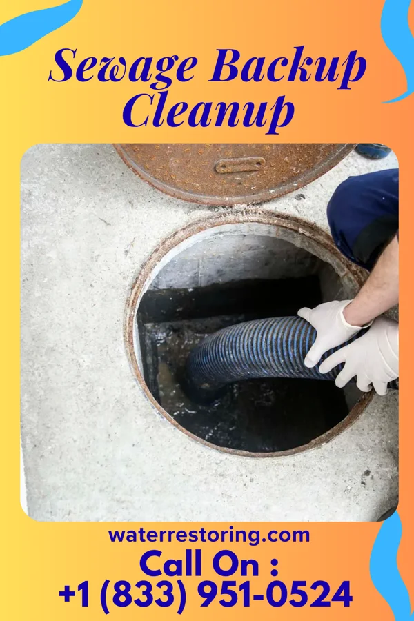 Sewage Backup Cleanup in Jarratt, VA