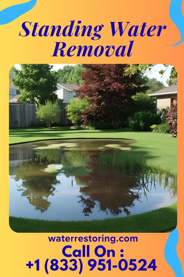 Standing Water Removal in Jarratt, VA